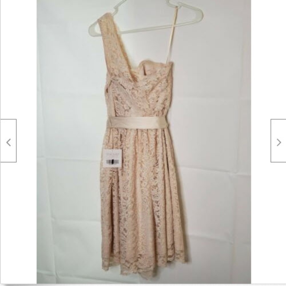 NWT Tevolio Dress 4 Beige Cold Shoulder Lined Lace - Picture 2 of 5
